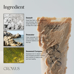 그로우어스 씨솔트 테라피 스칼프 스케일러 250g